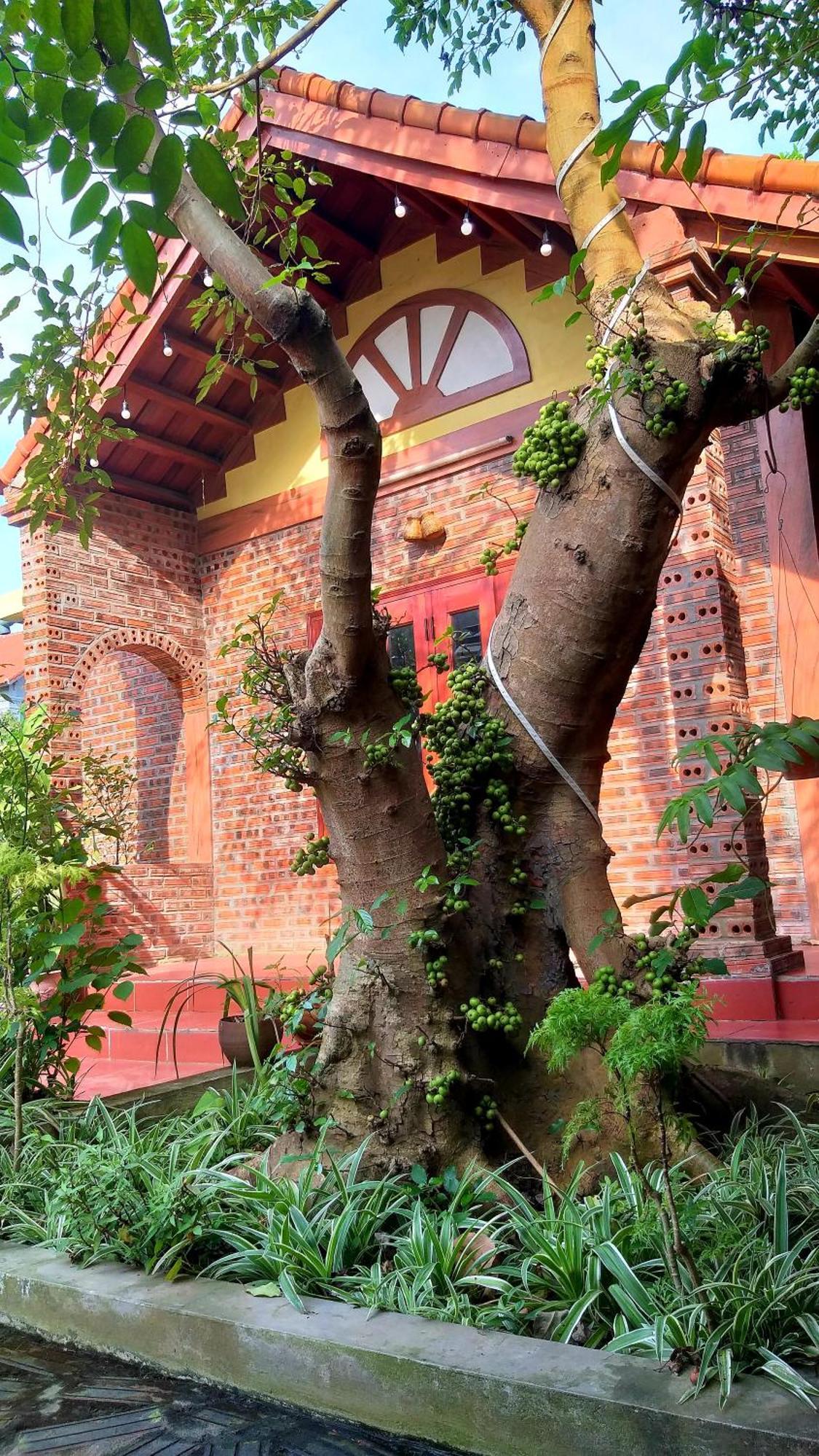 Tam Family Homestay Ninh Binh Exterior photo